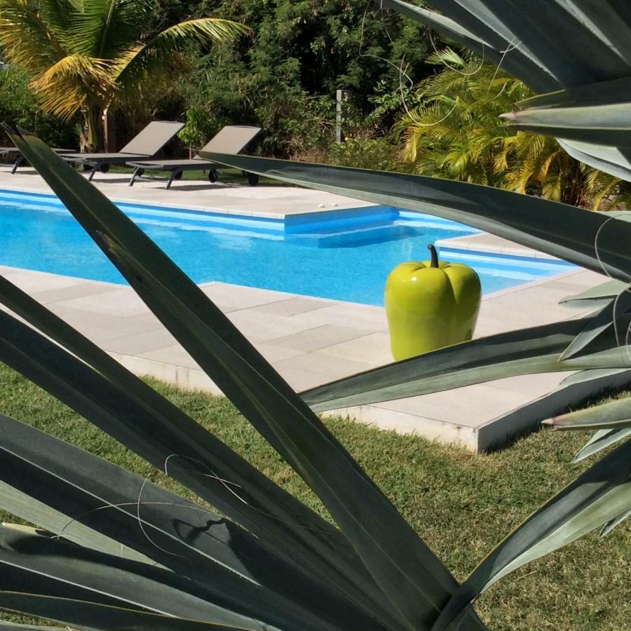 Gite Les Jardins D'Enoha Anse-Bertrand المظهر الخارجي الصورة